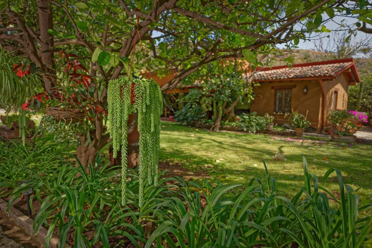 Casa Navacoyan Bed & Breakfast Malinalco Exterior photo